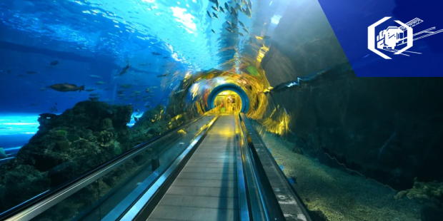 Подводный поезд Китая: несбыточная мечта или реальность?